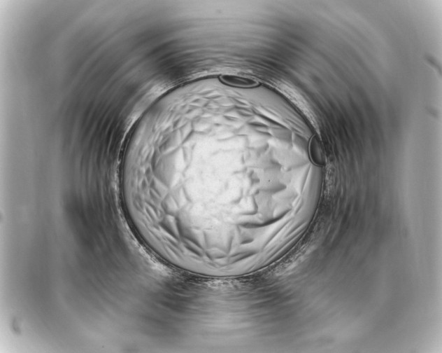 X0000096730906200802261450