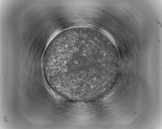 X0000096730907200802261450