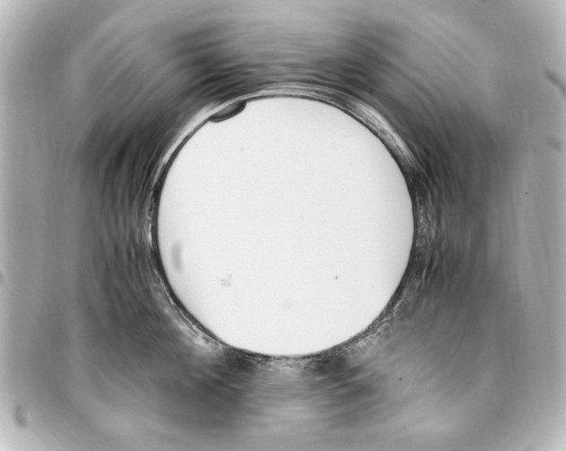 X0000096730908200802261450