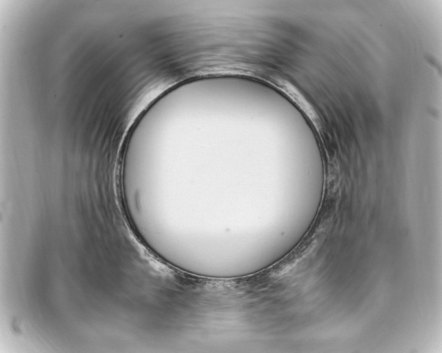 X0000096730909200802261450