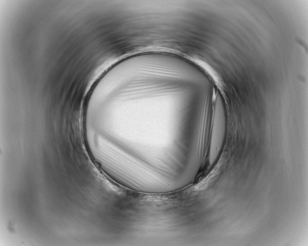 X0000096730910200802261450