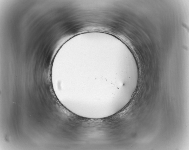 X0000096730912200802261450