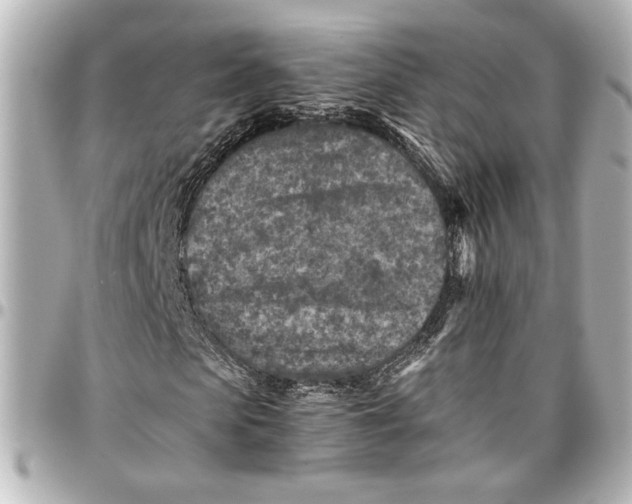 X0000096730913200802261449