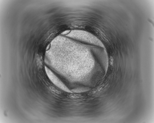 X0000096730915200802261449