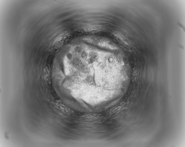 X0000096730917200802261449