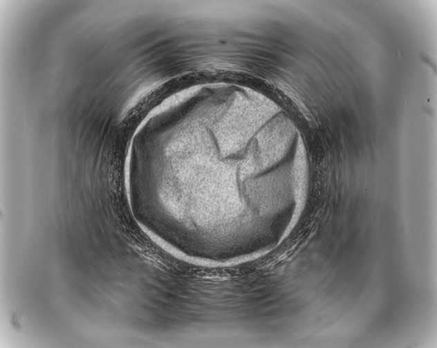 X0000096730919200802261449