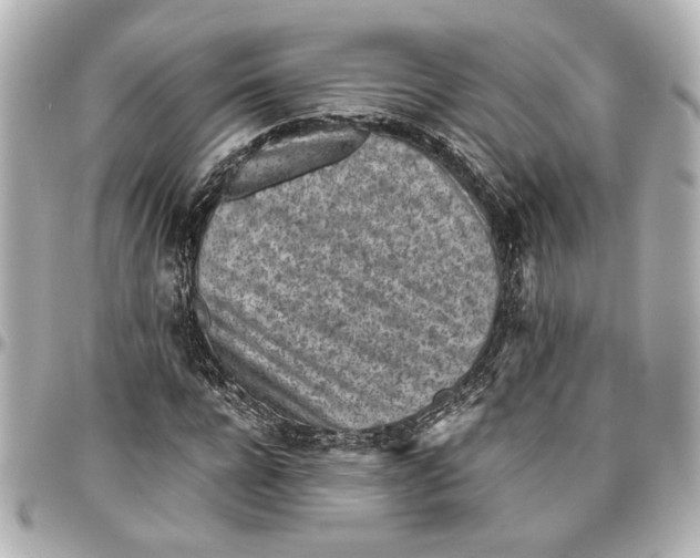 X0000096730920200802261449