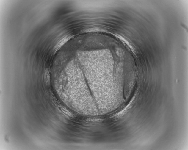 X0000096730921200802261449