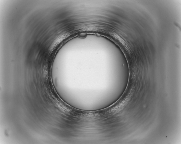 X0000096730922200802261449