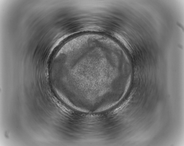 X0000096730923200802261449