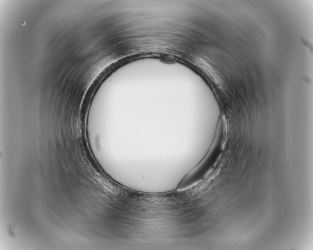 X0000096730924200802261449