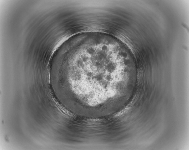 X0000096730925200802261449