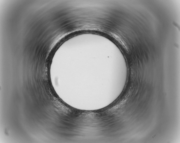 X0000096730926200802261449