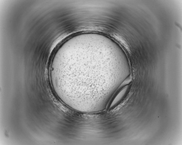 X0000096730928200802261449