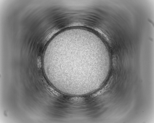 X0000096730929200802261449