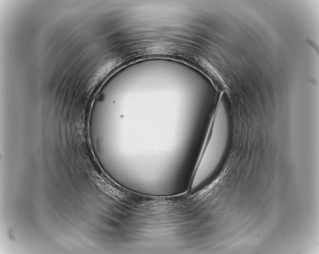 X0000096730930200802261449