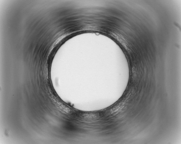 X0000096730931200802261449