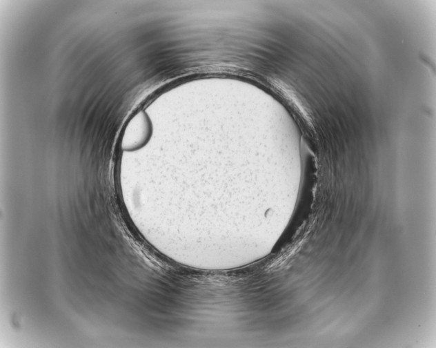 X0000096730932200802261449