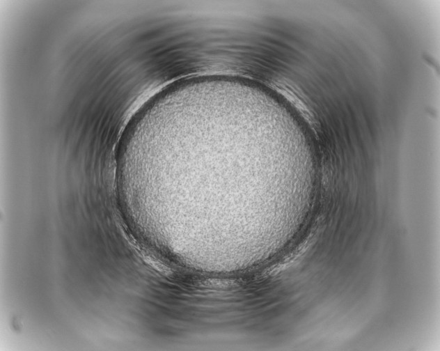 X0000096730933200802261449