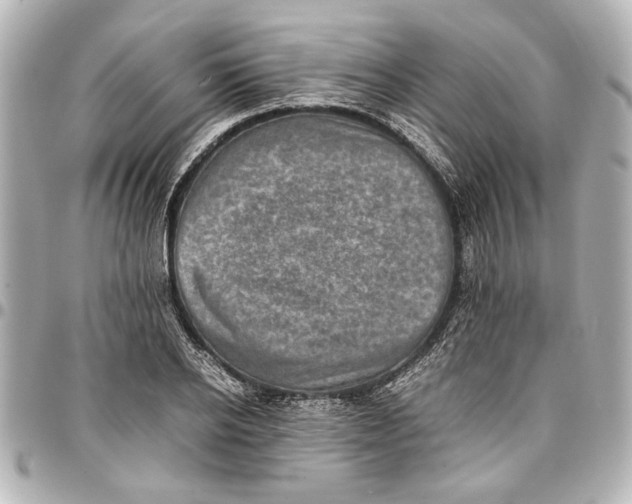 X0000096730934200802261449