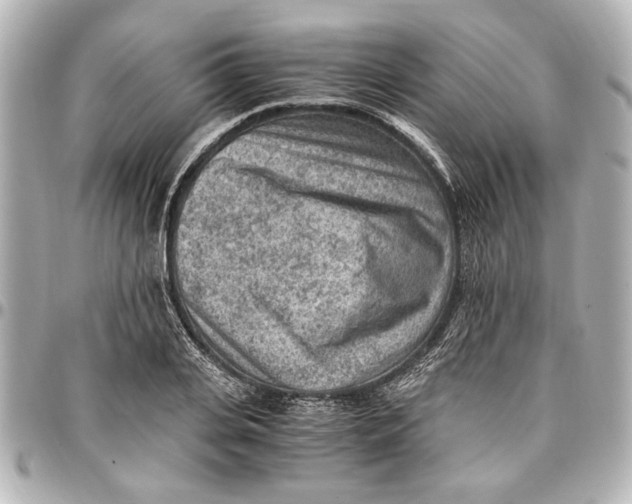 X0000096730935200802261450