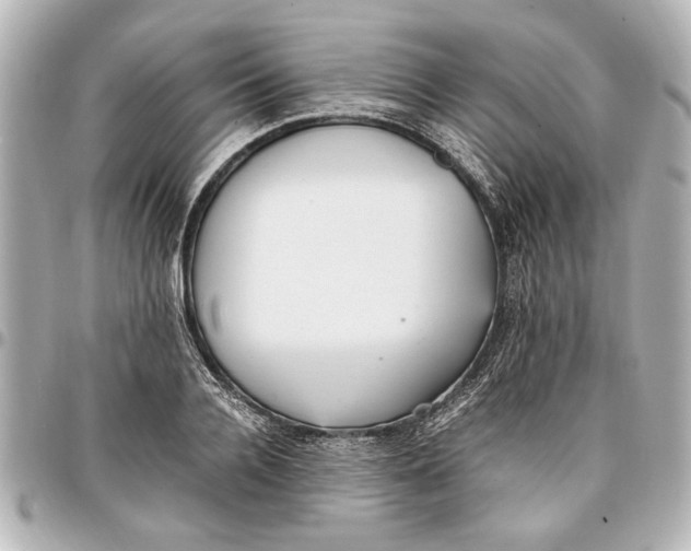 X0000096730936200802261450