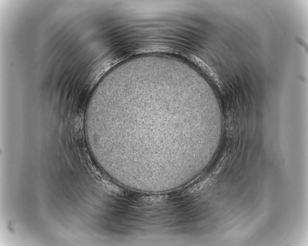 X0000096730937200802261450