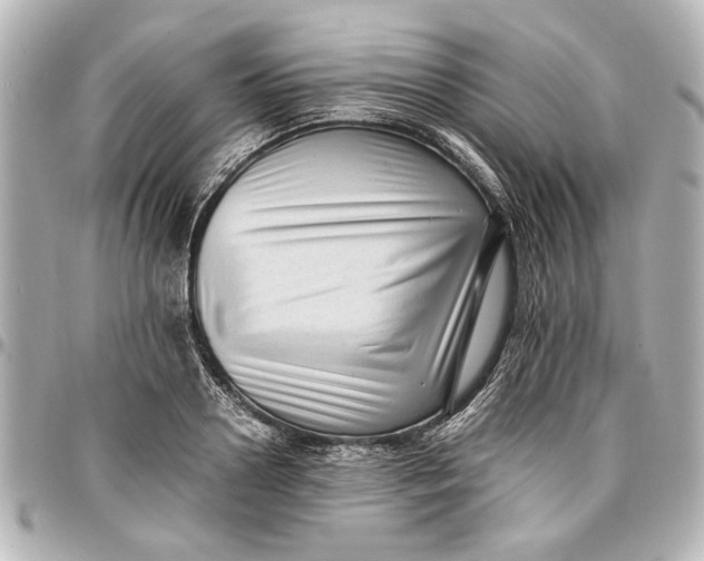 X0000096730938200802261450