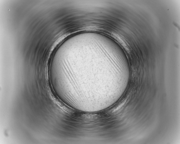 X0000096730939200802261450