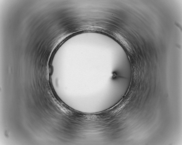 X0000096730940200802261450