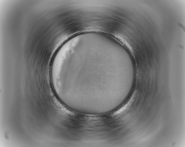 X0000096730941200802261450