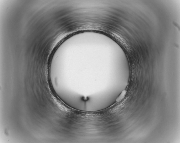 X0000096730942200802261450