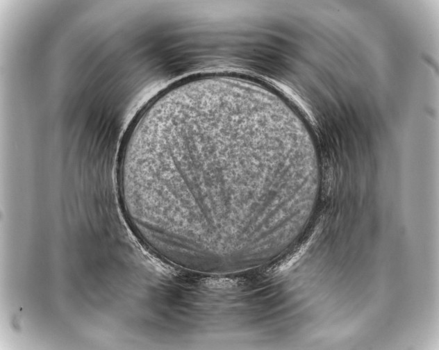 X0000096730943200802261450