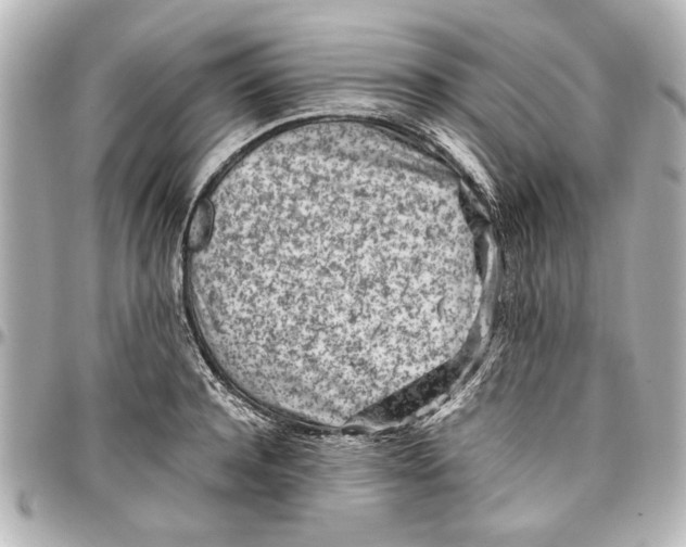 X0000096730944200802261450