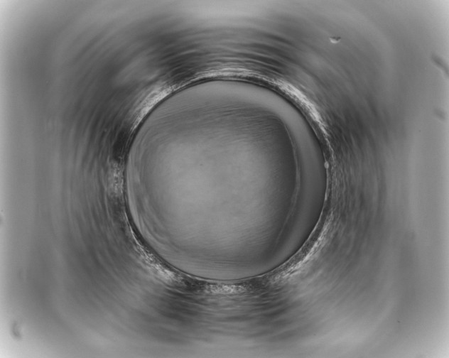 X0000096730945200802261450