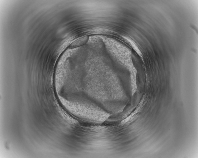 X0000096730946200802261450