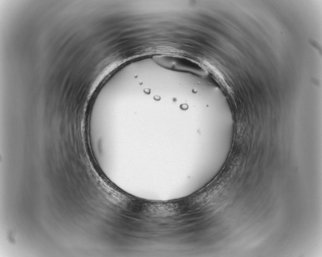 X0000096730947200802261450