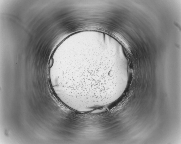 X0000096730948200802261450