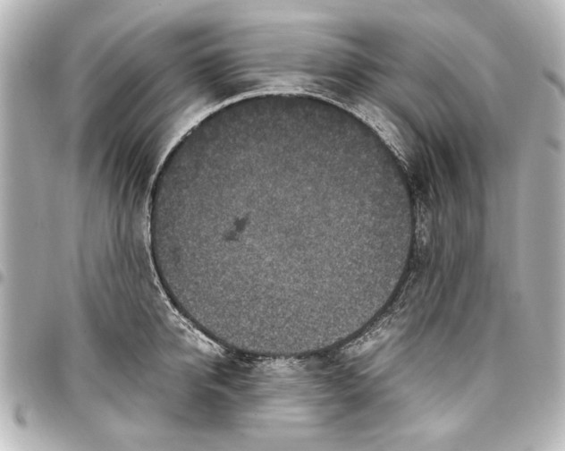 X0000096730950200802261450