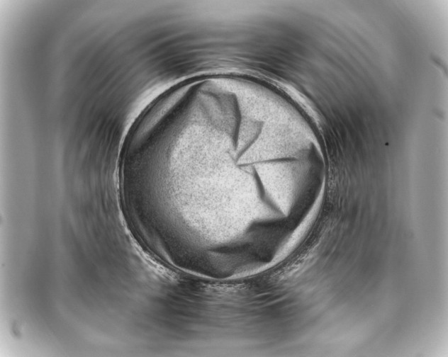 X0000096730951200802261450