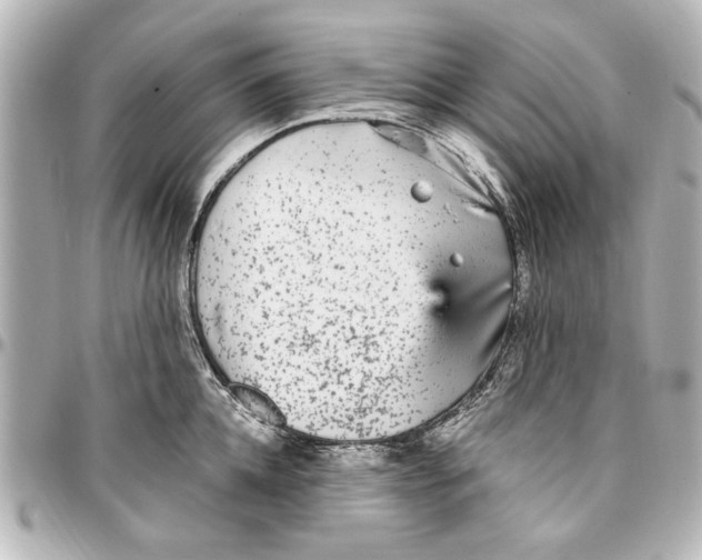 X0000096730952200802261450