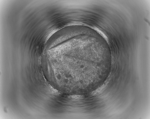 X0000096730953200802261450