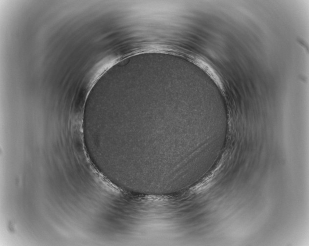 X0000096730954200802261450