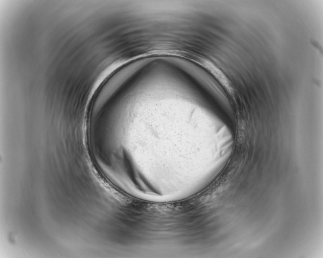 X0000096730955200802261450