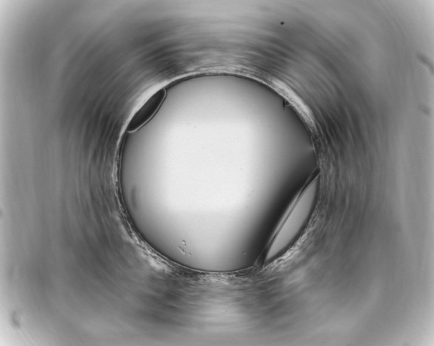 X0000096730956200802261450