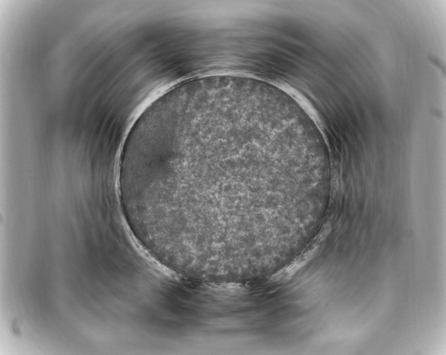 X0000096730957200802261450