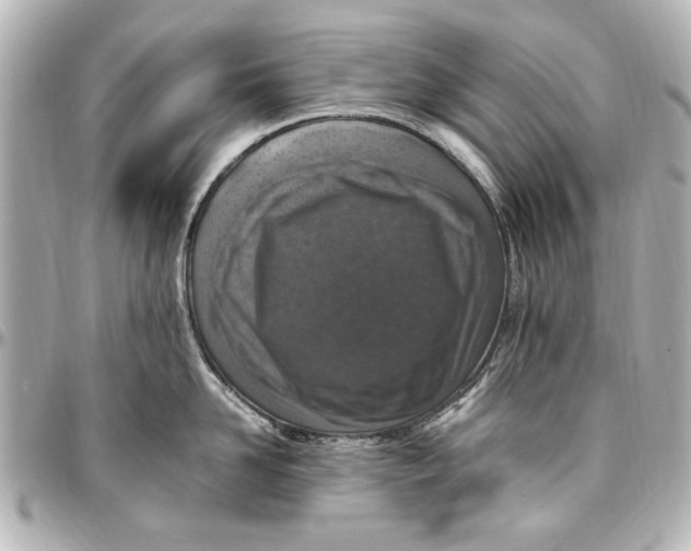 X0000096730958200802261450