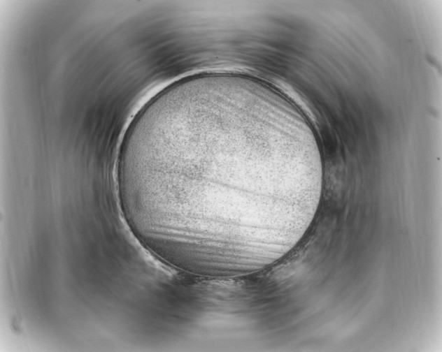 X0000096730959200802261450