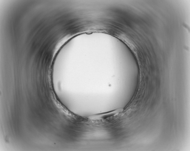 X0000096730960200802261450