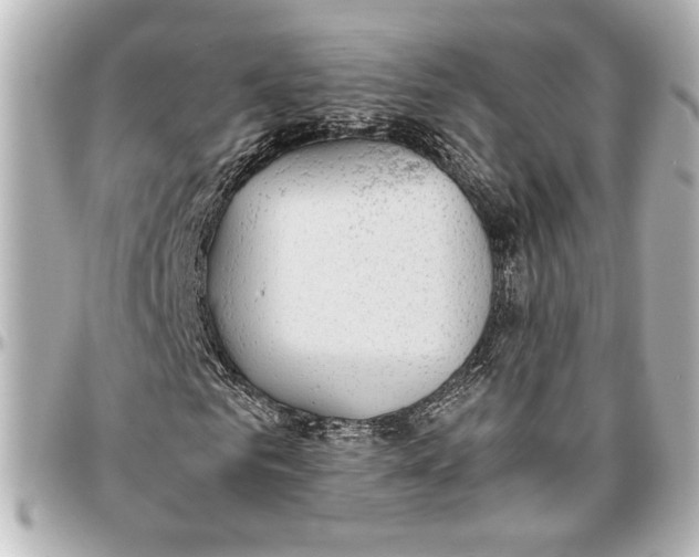 X0000096730961200802261449